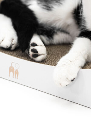 Griffoir en carton pour chat Lily 75 - Blanc - Carton recyclé - 100 % naturel