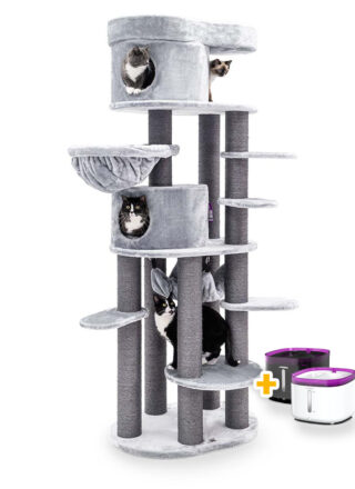 Arbre à chat Isabella 210 - Grise - poteau 12 cm diamètre - XXL