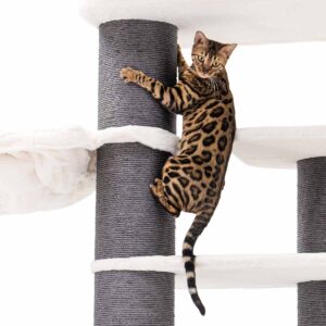 Arbre à chat Norwegian 200 - blanc cassé - poteau 20 cm diamètre - XXL - pour plusieurs chats