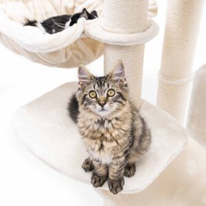 Arbre à chat Drive 167 - Crème
