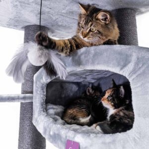Arbre à chat Drive 179 - Grise