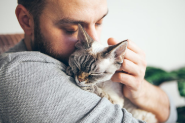 chat dormant dans les bras de son maître