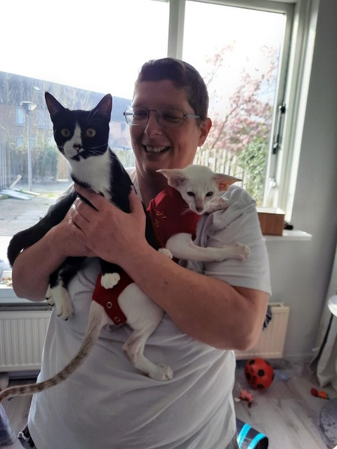 blanche avec ses 2 chats