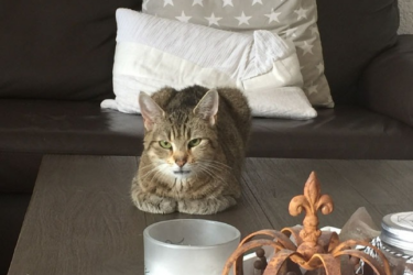 Kira