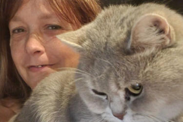 Cindy et british shorthair