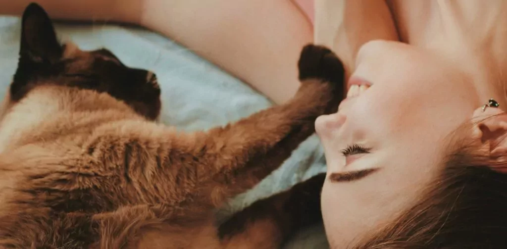 Human and cat relaxing and laying next to each other