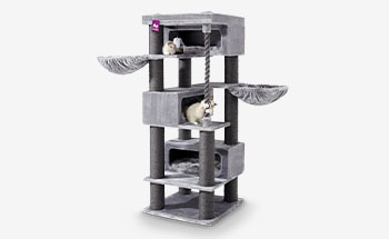 Arbres à chat