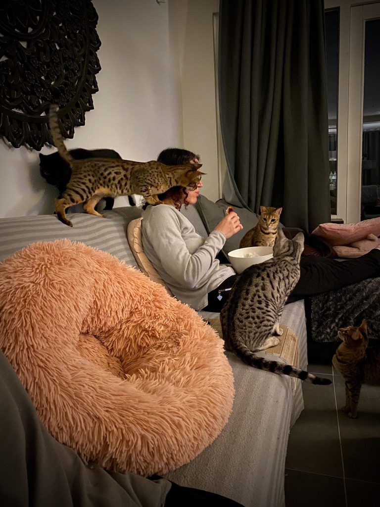 vrouw op bank met drie katten