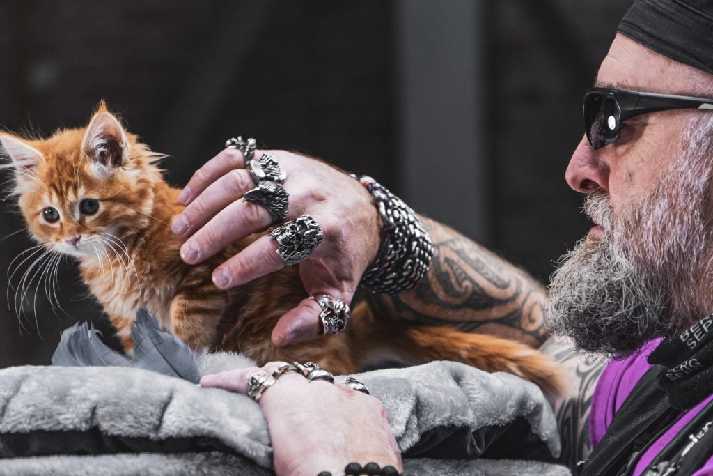 scooter met een kitten op een krabpaal