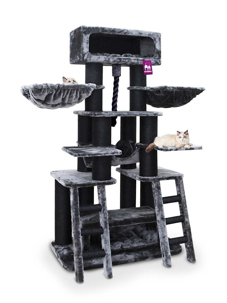 skybox pepper met katten