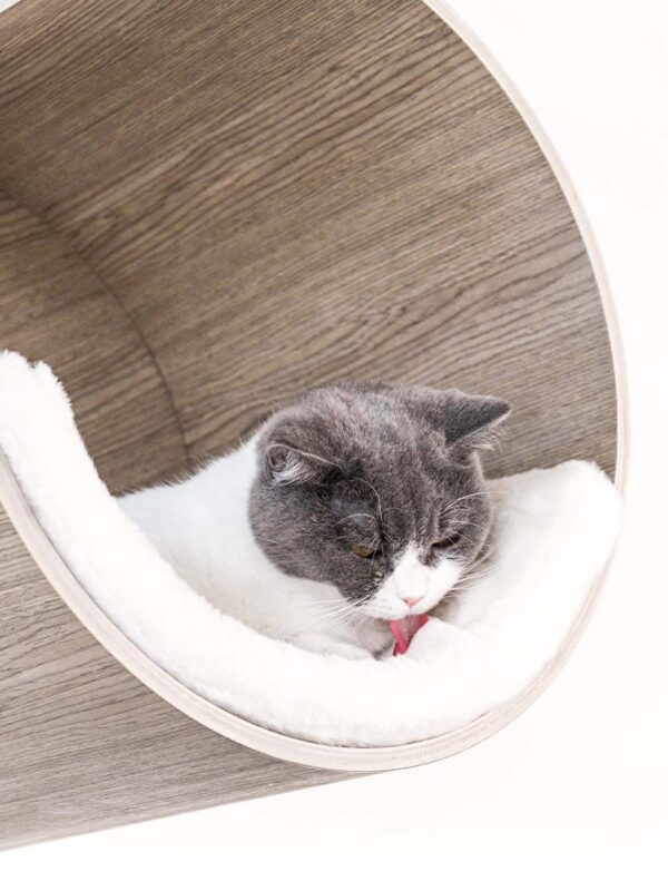 Kattenmuur Moon 40