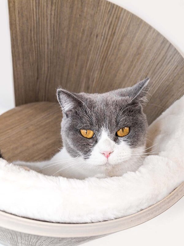 Kattenmuur Moon 40