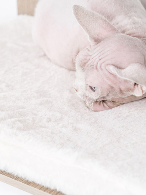 Kattenmuur Relax 50