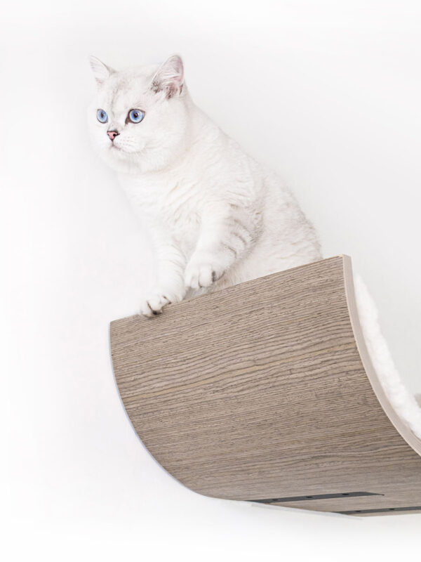 Kattenmuur Curve 70