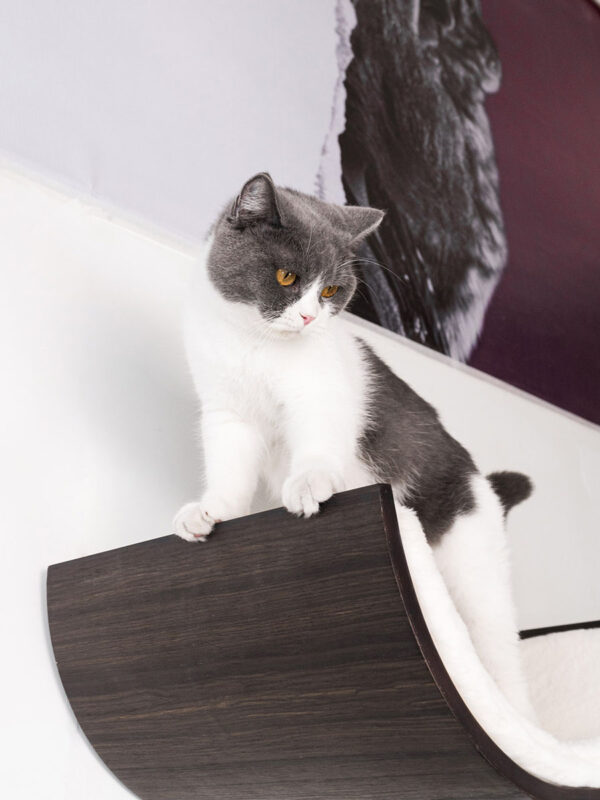 Kattenmuur Curve 70