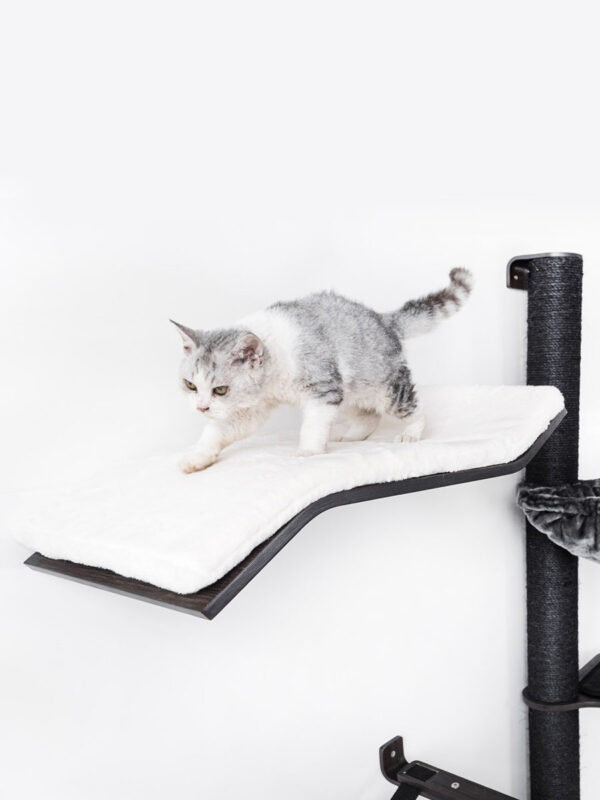 Kattenmuur Wave 70