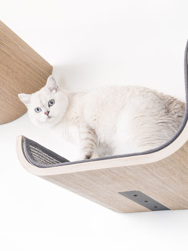 Kattenmuur Scratch 70