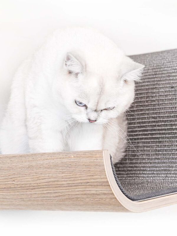 Kattenmuur Scratch 70