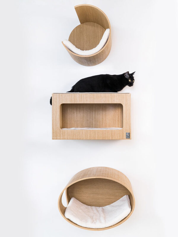 Kattenmuur Oval Office 60