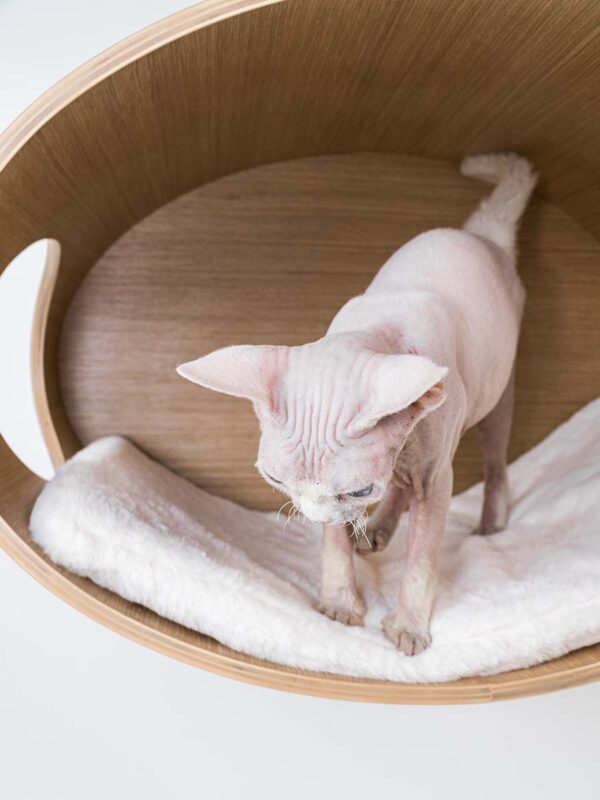 Kattenmuur Oval Office 60