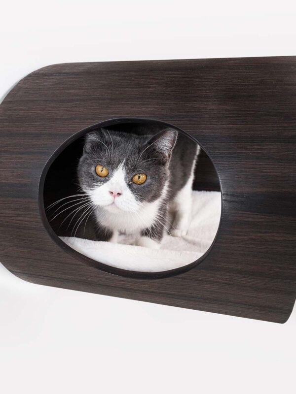 Kattenmuur Oval Office 60