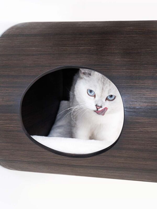 Kattenmuur Oval Office 60