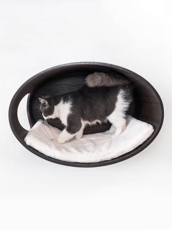 Kattenmuur Oval Office 60