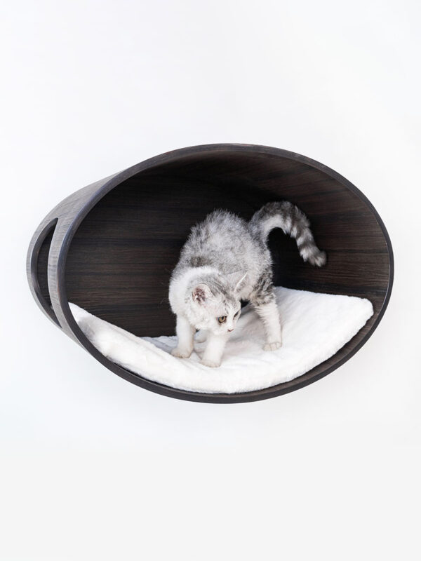 Kattenmuur Oval Office 60