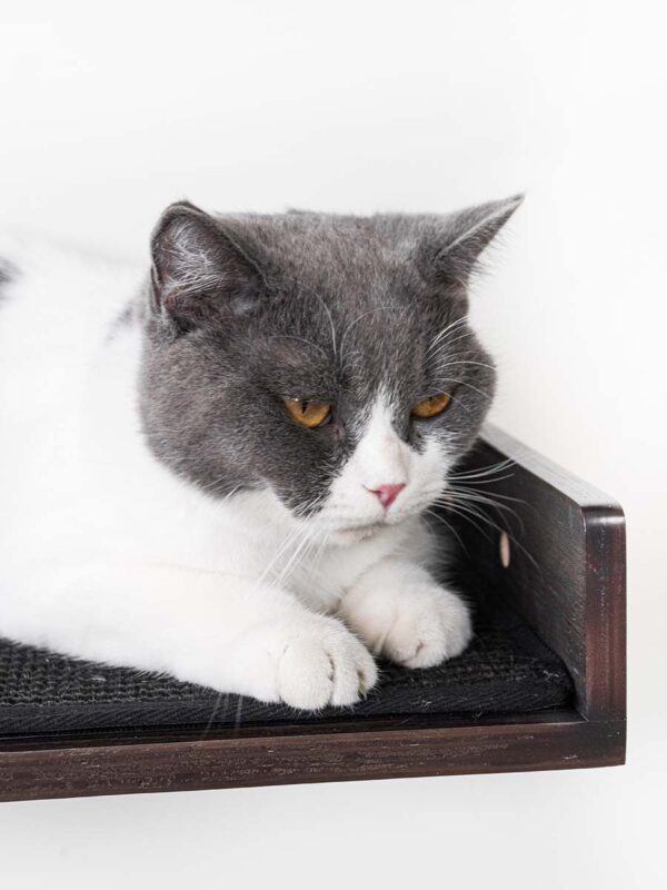 Kattenmuur Corner lounge 35