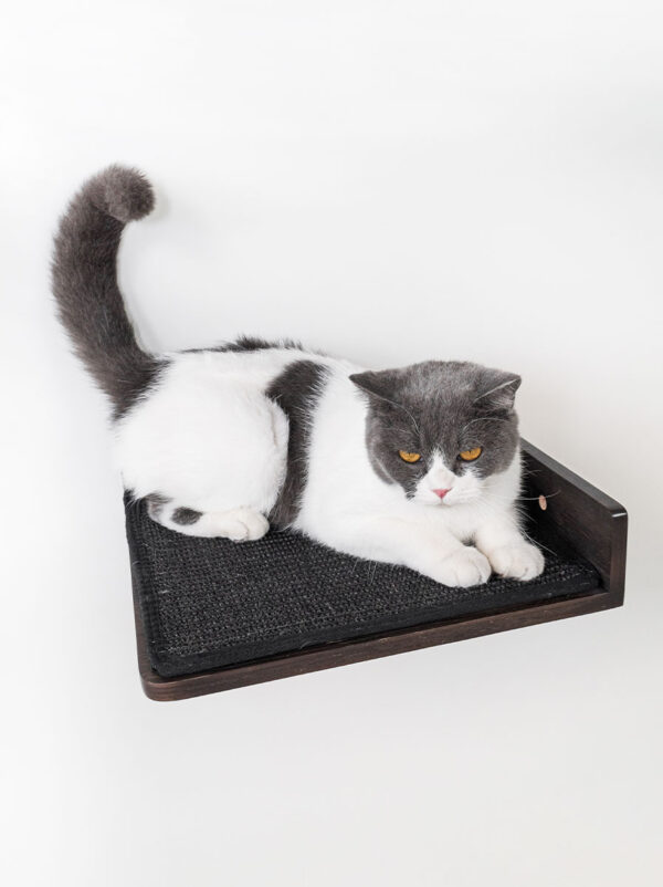 Kattenmuur Corner lounge 35