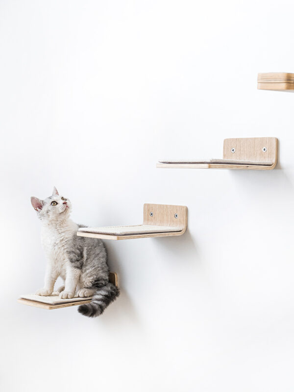 Kattenmuur Step 25 set