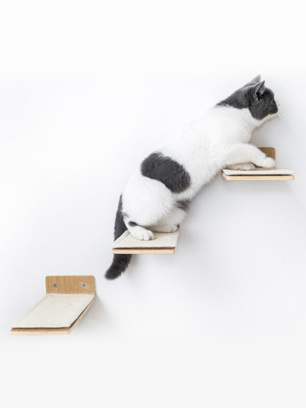 Kattenmuur Step 25 set