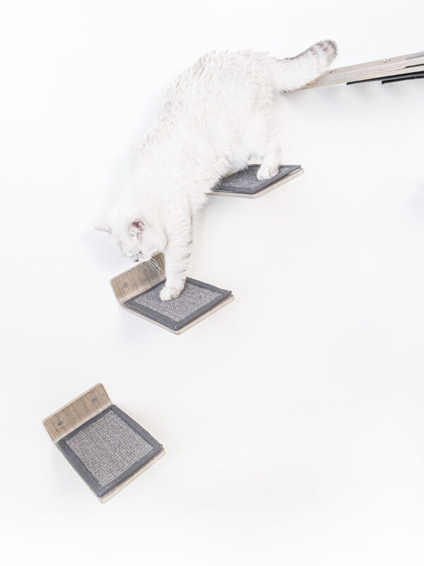 Kattenmuur Step 25 set