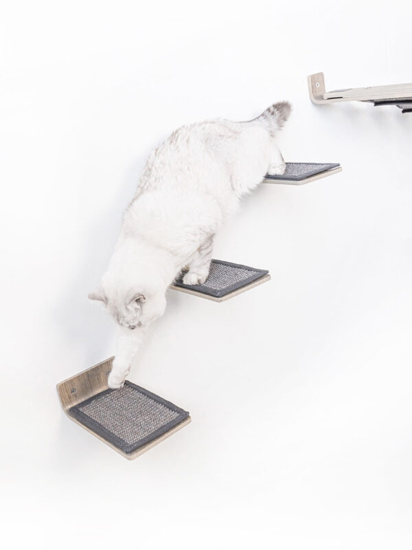 Kattenmuur Step 25 set
