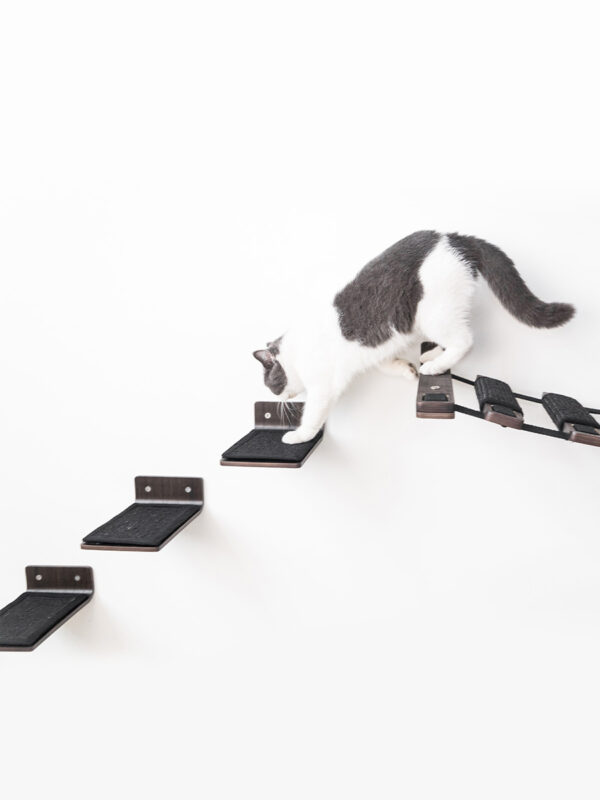 Kattenmuur Step 25 set