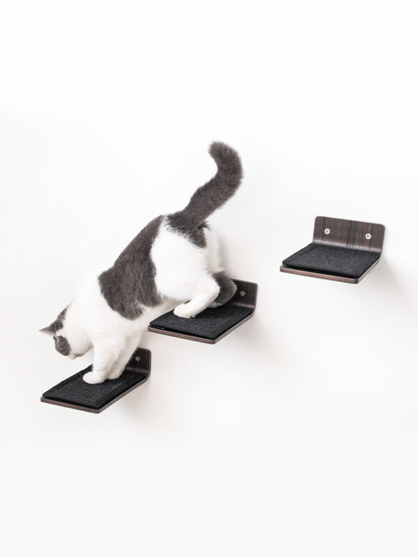 Kattenmuur Step 25 set