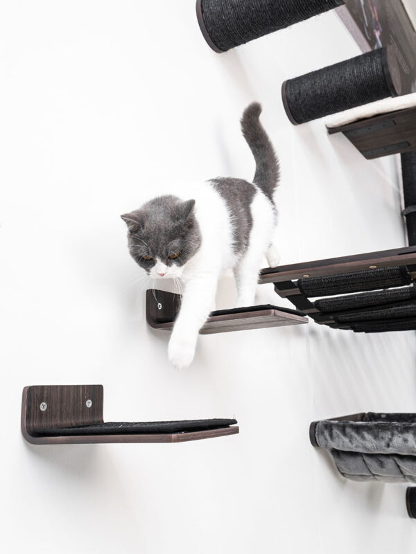 Kattenmuur Step 25 set