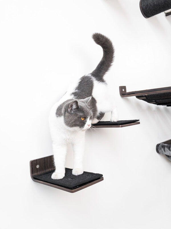 Kattenmuur Step 25 set