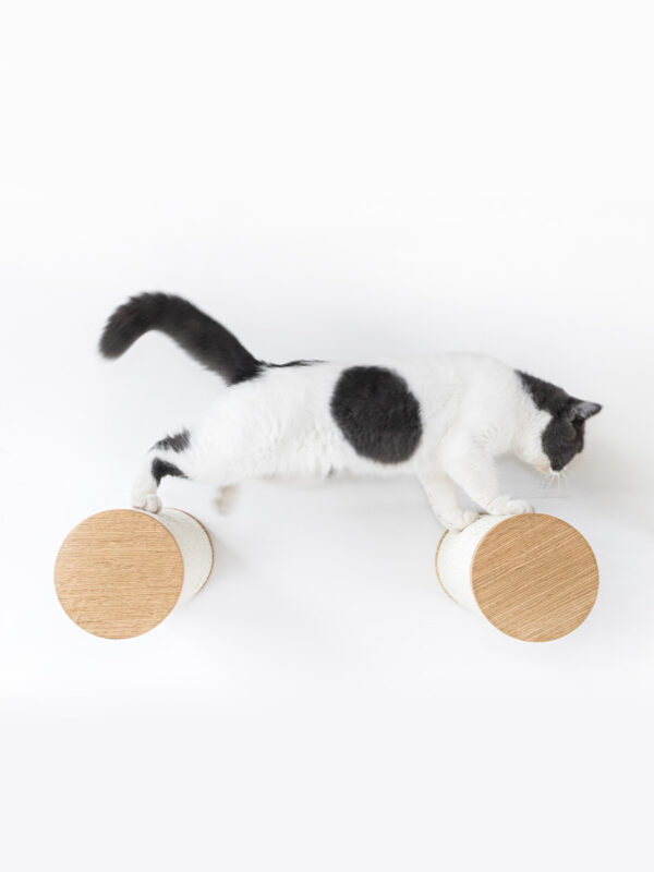 Kattenmuur Horizon 1530 set