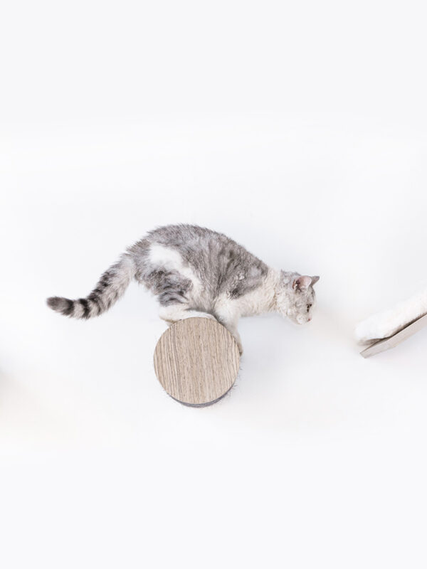 Kattenmuur Horizon 1530 set