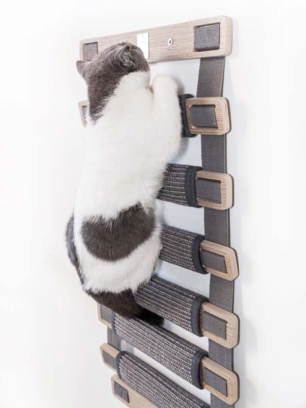 Kattenmuur Ladder 91