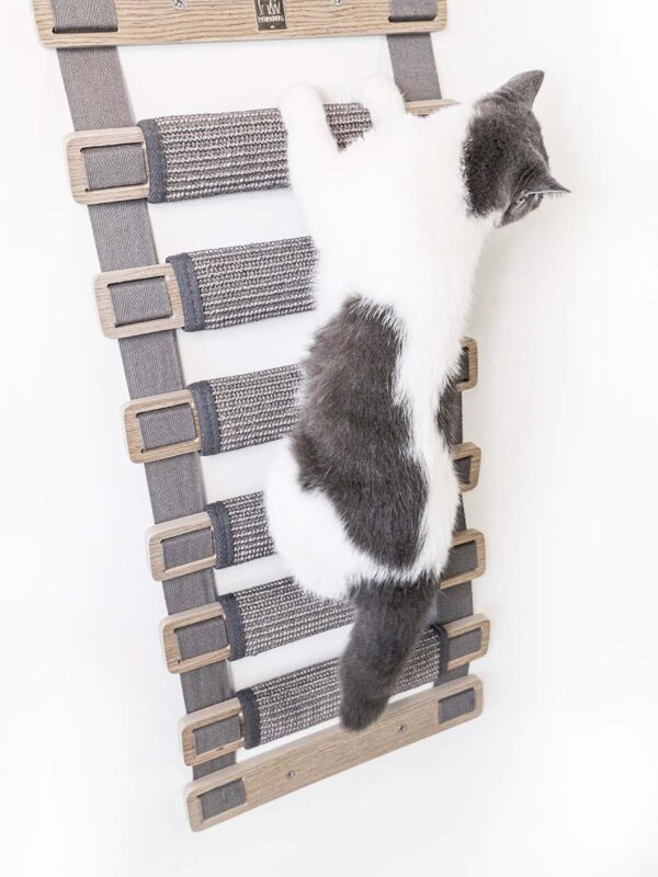Kattenmuur Ladder 91