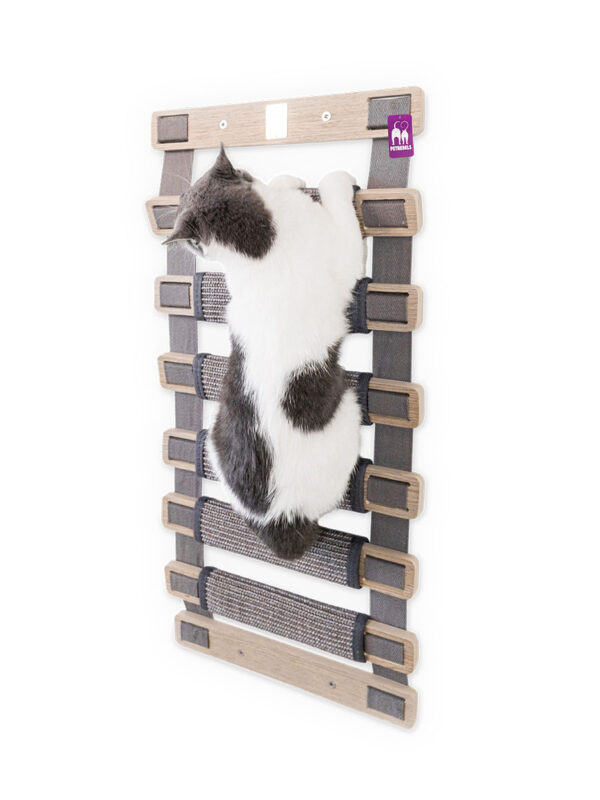 Kattenmuur Ladder 91