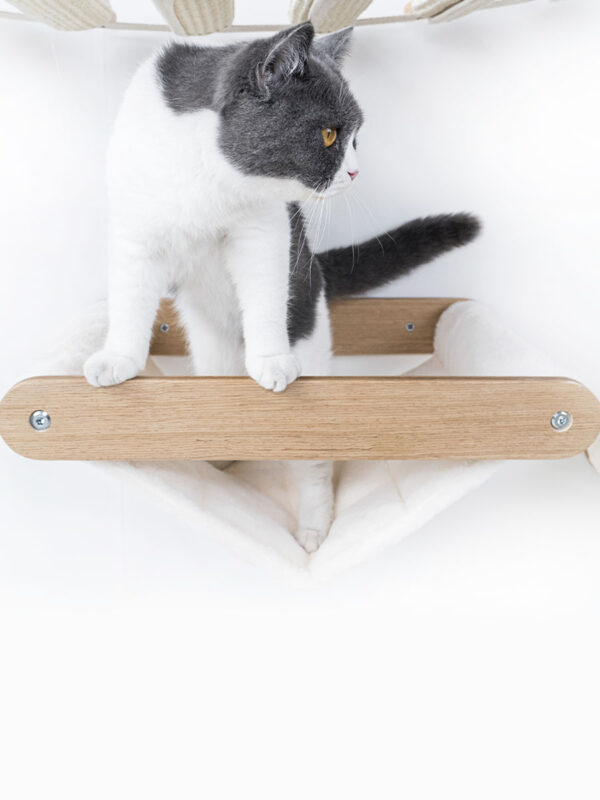 Kattenmuur Lazy 50