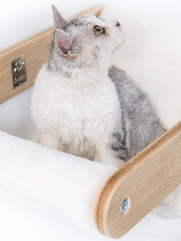 Kattenmuur Lazy 50