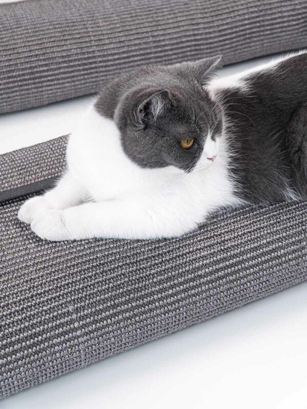 Kattenmuur Box bag 115