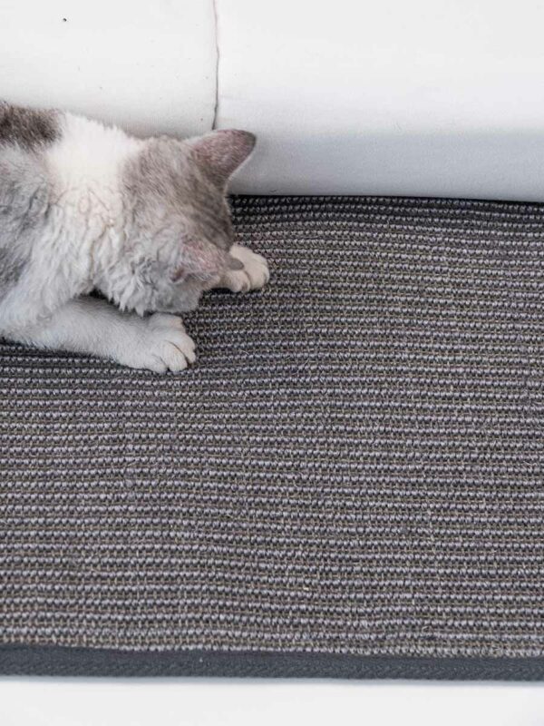 Kattenmuur Box bag 115