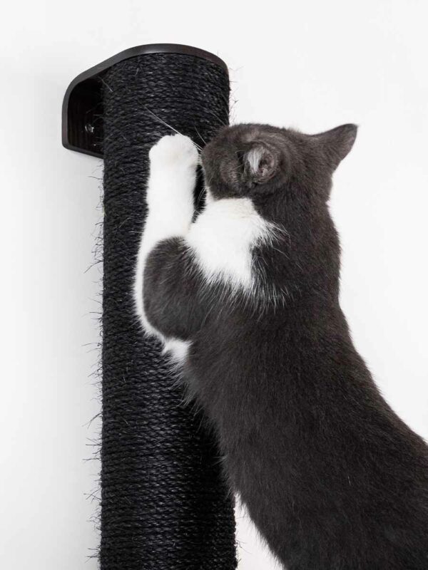 Kattenmuur Climb 2080 set