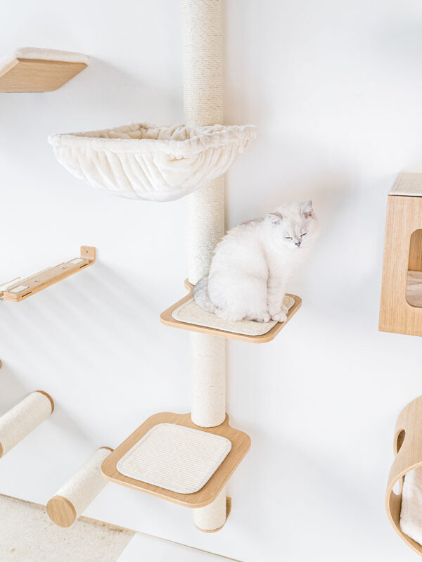Kattenmuur Level 40