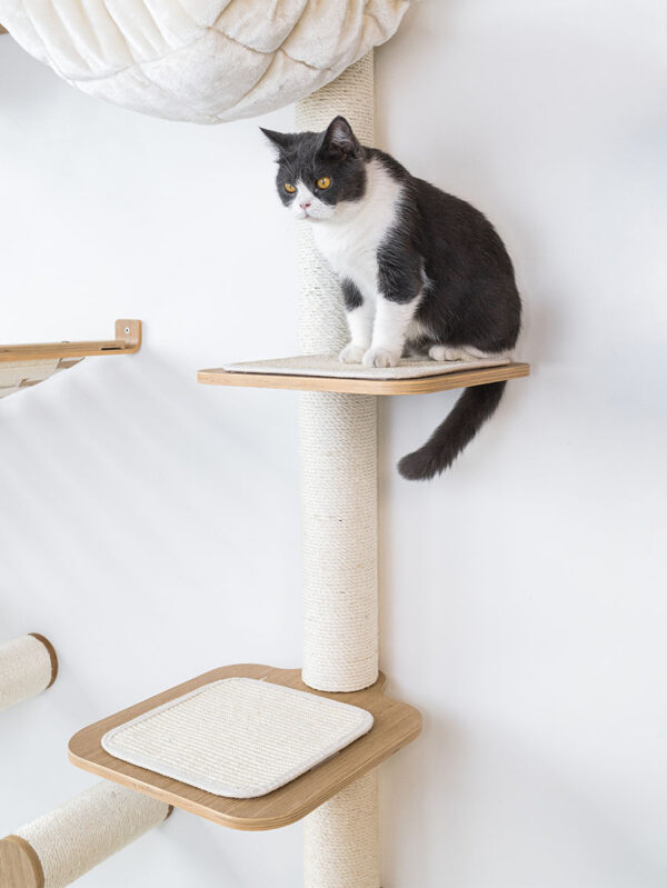 Kattenmuur Level 40